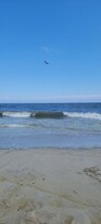 364 Westwood Ave in Long Branch, NJ - Building Photo