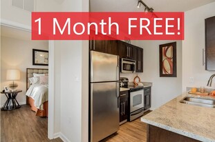 The Grand at Cypress Cove in Lutz, FL - Building Photo