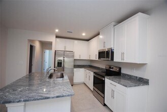 18267 Turning Leaf Cir in Land O Lakes, FL - Building Photo - Building Photo