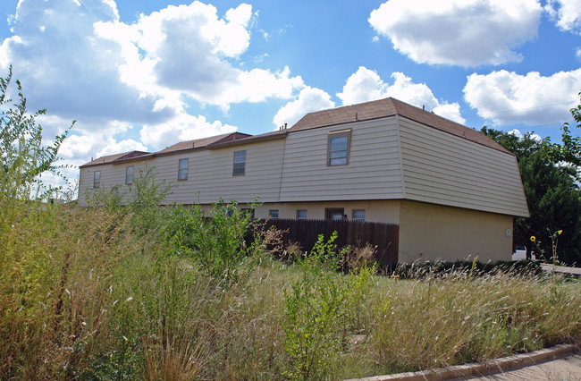 4411 21st St in Lubbock, TX - Building Photo - Building Photo