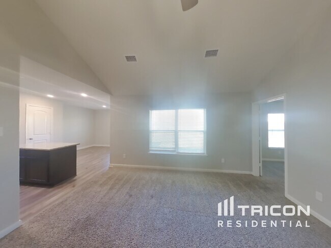 189 Banjo Trl in Newark, TX - Building Photo - Building Photo