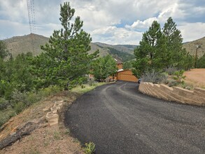 30258 Weisshorn Cir in Pine, CO - Building Photo - Building Photo