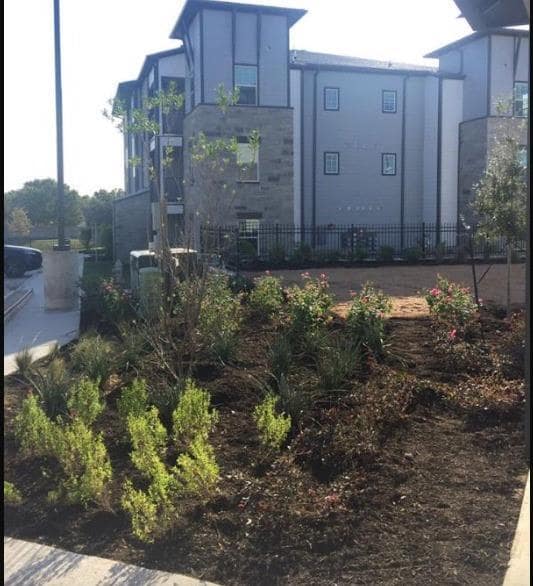 15405 Long Vista Dr in Austin, TX - Building Photo - Building Photo