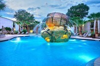 *NEW* Resort Style Pool - *Campus Palms Apartments- USF STUDENT LIVING* in Tampa, Florida