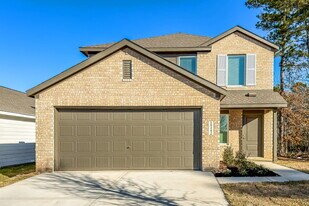 15242 Abella Dr in Montgomery, TX - Building Photo