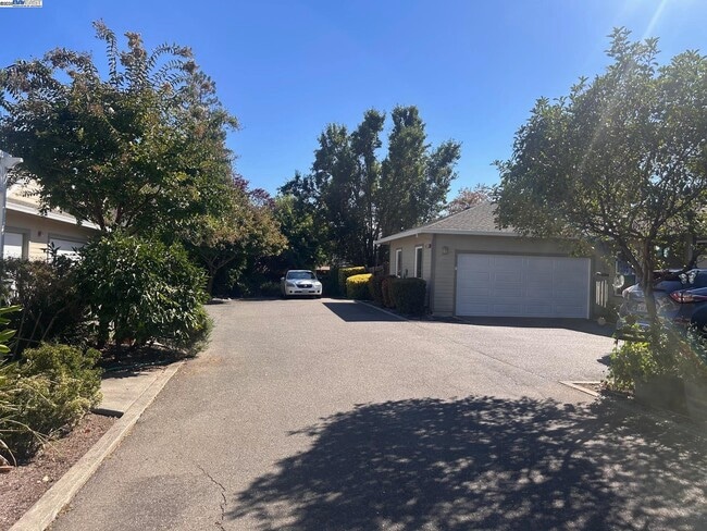426 Piper St in Healdsburg, CA - Building Photo - Building Photo