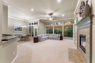 14 Mystic Pines Ct in Spring, TX - Building Photo