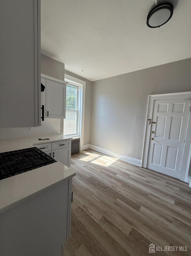 88 Harvey St in New Brunswick, NJ - Building Photo - Building Photo