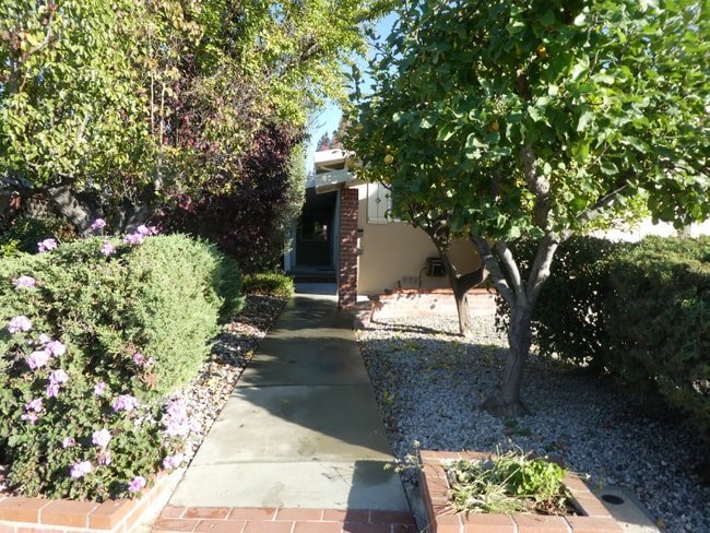 974 Rose Ave in Redwood City, CA - Building Photo - Building Photo