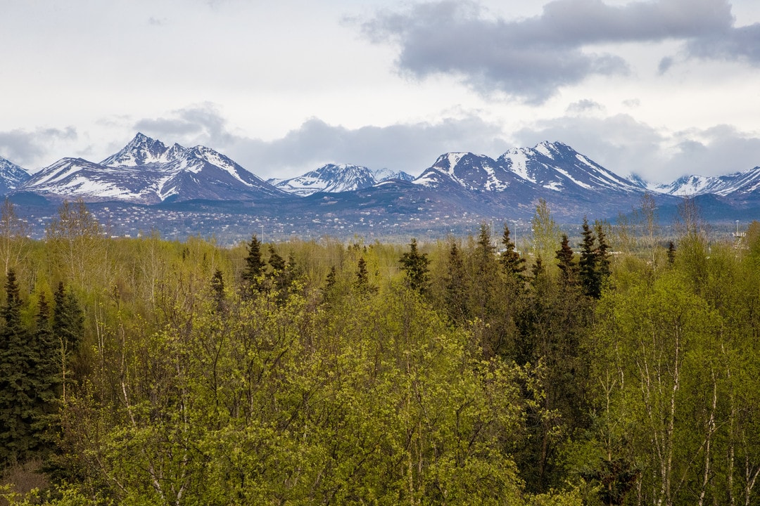 Creekside Manor in Anchorage, AK - Foto de edificio