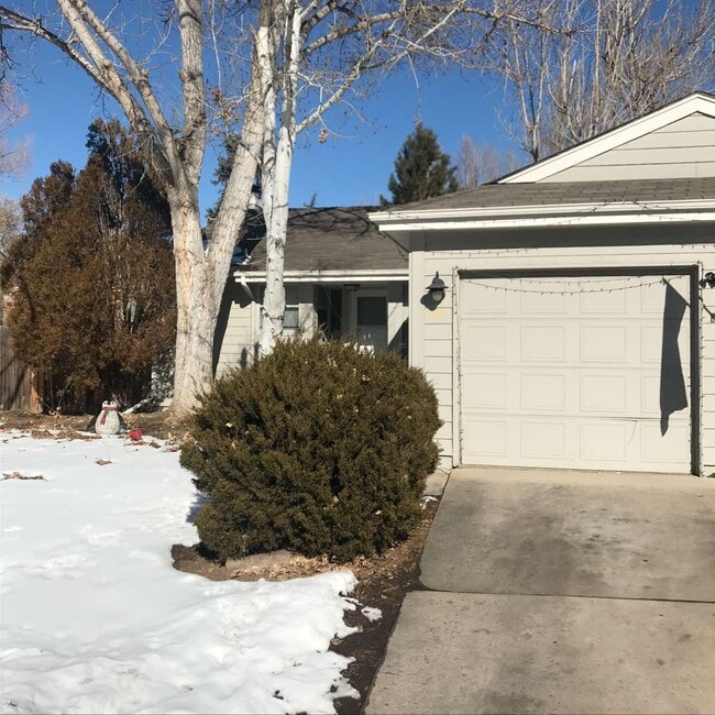 942 Wakerobin Ln in Fort Collins, CO - Building Photo - Building Photo