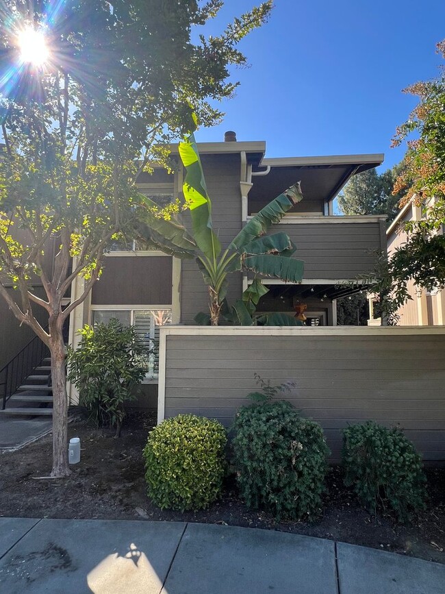2664 Senter Rd in San Jose, CA - Building Photo - Building Photo