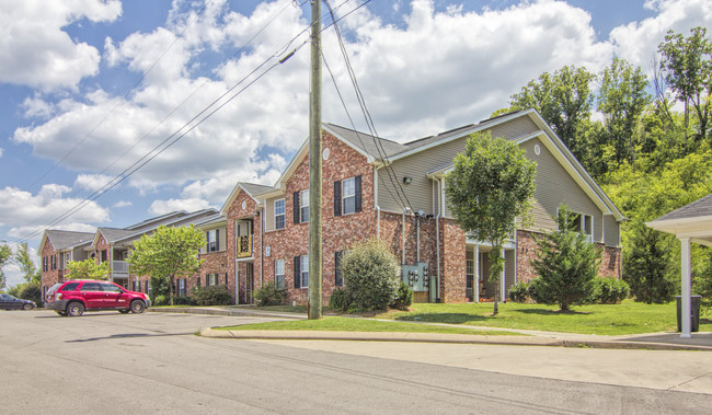 Swiss View Apartments in Nashville, TN - Building Photo - Building Photo