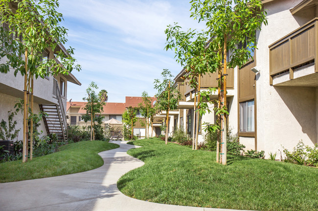 Vista Ridge in La Habra, CA - Foto de edificio - Building Photo