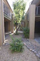 4354 N 82nd St in Scottsdale, AZ - Building Photo
