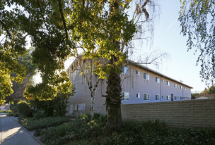 Golden Oaks Apartment in Campbell, CA - Building Photo