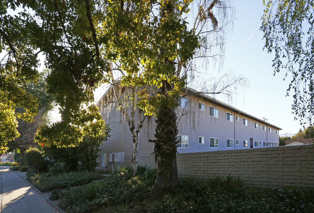 Golden Oak Apartments in Campbell, CA - Foto de edificio