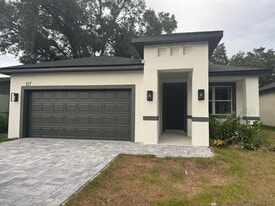 317 Mandrake St in Orlando, FL - Building Photo