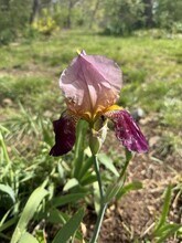 740 Finn Long Rd in Friendsville, TN - Building Photo - Building Photo