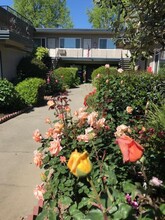 The Colonial House in San Jose, CA - Building Photo - Building Photo