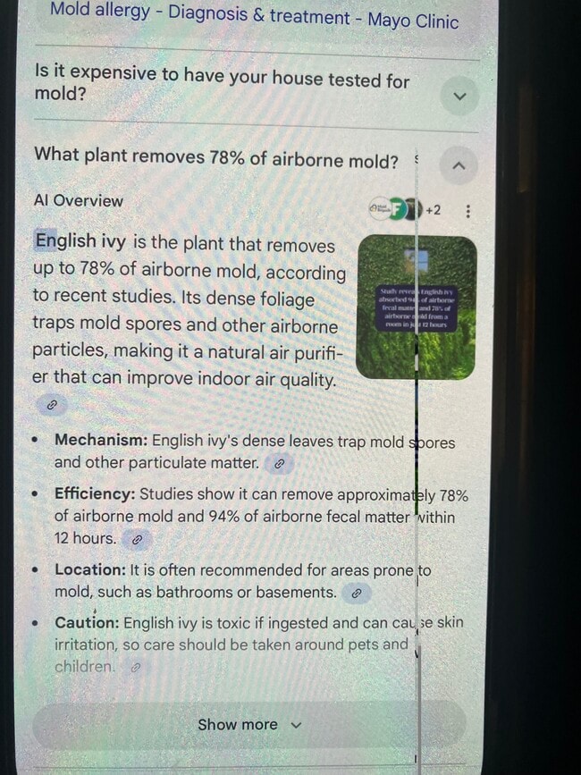 8724 Minnetonka Blvd in Minneapolis, MN - Foto de edificio - Building Photo