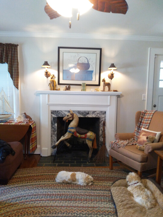 201 W 17th St, Unit BLKRM in Lumberton, NC - Foto de edificio