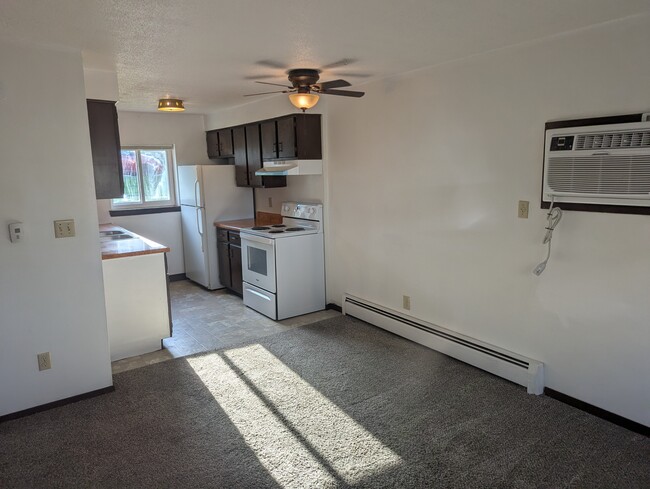 400 N Spring ave, Unit 3 in Sioux Falls, SD - Foto de edificio - Building Photo