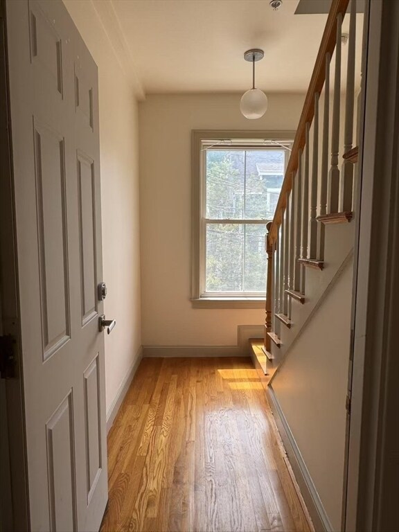 23 Lake St in Somerville, MA - Building Photo - Building Photo