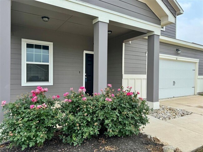 161 Satsuma Ln in Kyle, TX - Building Photo - Building Photo