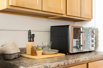 The Residences in Hadley, MA - Foto de edificio - Building Photo