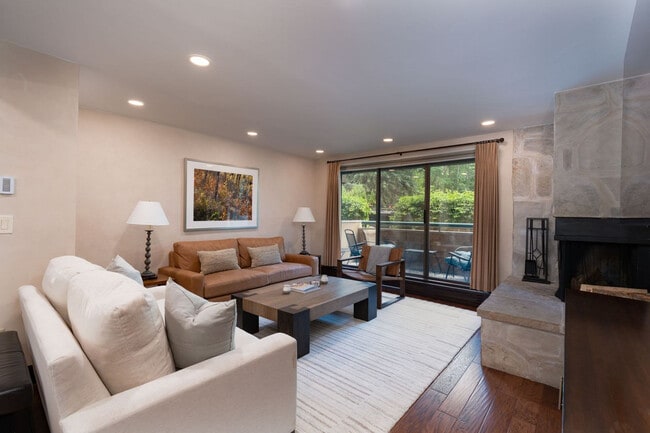 1024 E Hopkins Ave in Aspen, CO - Building Photo - Building Photo