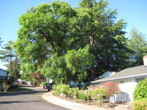 Homestead Commons Apartments in Tigard, OR - Building Photo - Building Photo