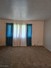 1074 E 167th St in Cleveland, OH - Building Photo - Building Photo