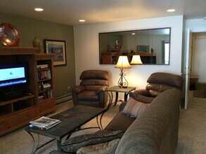 100 La Bonte St in Dillon, CO - Building Photo - Building Photo