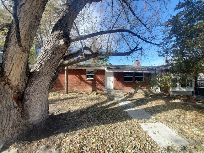 1015 Rose St in Longmont, CO - Building Photo - Building Photo