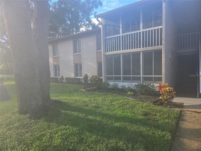 property at 13103 Cypress Hill Dr