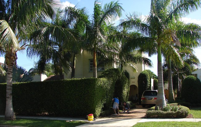 206 Dyer Rd in West Palm Beach, FL - Foto de edificio - Building Photo