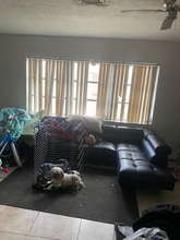 7009 NW 78th St in Tamarac, FL - Building Photo - Building Photo