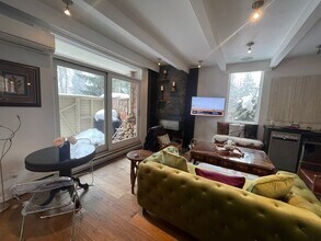 210 E Hyman Ave in Aspen, CO - Building Photo - Building Photo