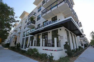 Beacon 430 in St. Petersburg, FL - Building Photo - Building Photo