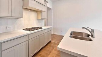 3101 Bell Flower Dr in Little Elm, TX - Building Photo