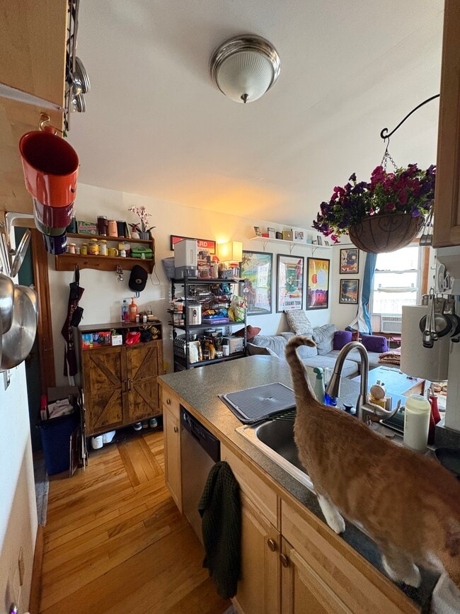 property at 1802 Massachusetts Ave