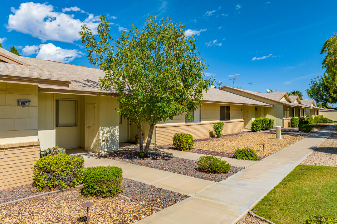 Palomar Apartments in Sun City West, AZ - Building Photo