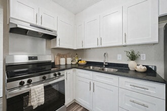 Travis Park Apartments in Austin, TX - Building Photo - Building Photo