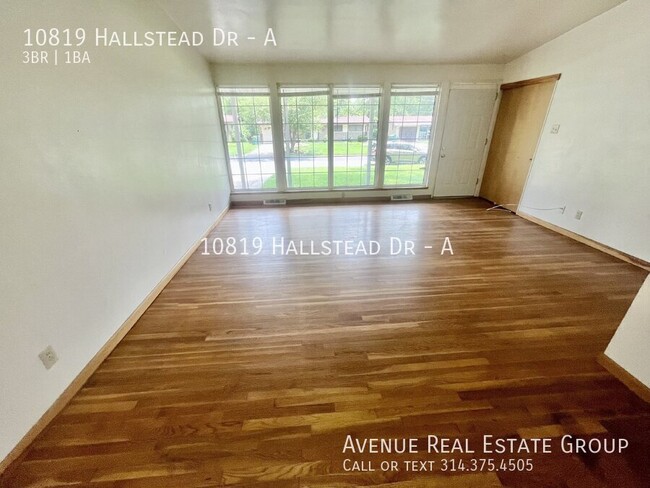 10819 Hallstead Dr in St. Louis, MO - Foto de edificio - Building Photo