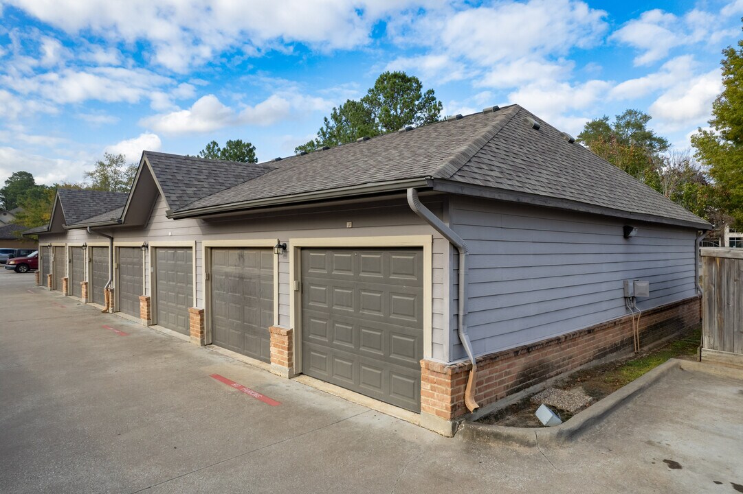 River Pointe in Conroe, TX - Foto de edificio
