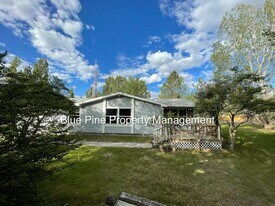 587 W 10 S in Blackfoot, ID - Building Photo
