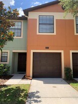 1531 Water Terrace Ln in Brandon, FL - Building Photo