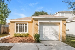 1034 Harvest Moon Dr in Seffner, FL - Building Photo
