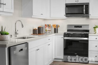 24923 Vermijo Ct in Wildomar, CA - Building Photo - Building Photo